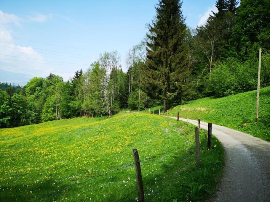 Forest View Apartment In Leissigen By Interlaken With No Kitchen ภายนอก รูปภาพ