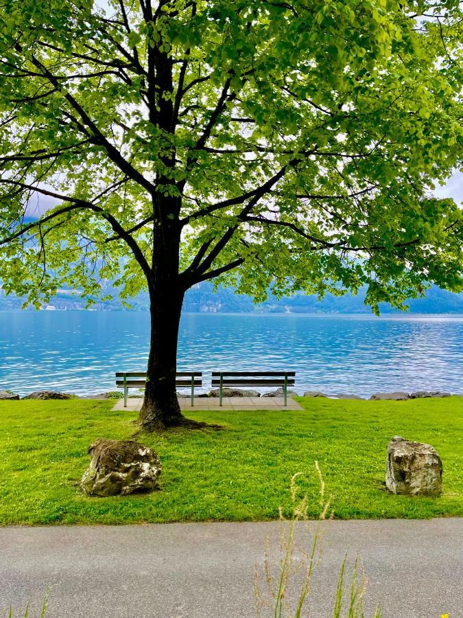 Forest View Apartment In Leissigen By Interlaken With No Kitchen ภายนอก รูปภาพ